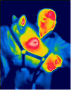Thermal imaging will identify both hot and cold surface temperatures.